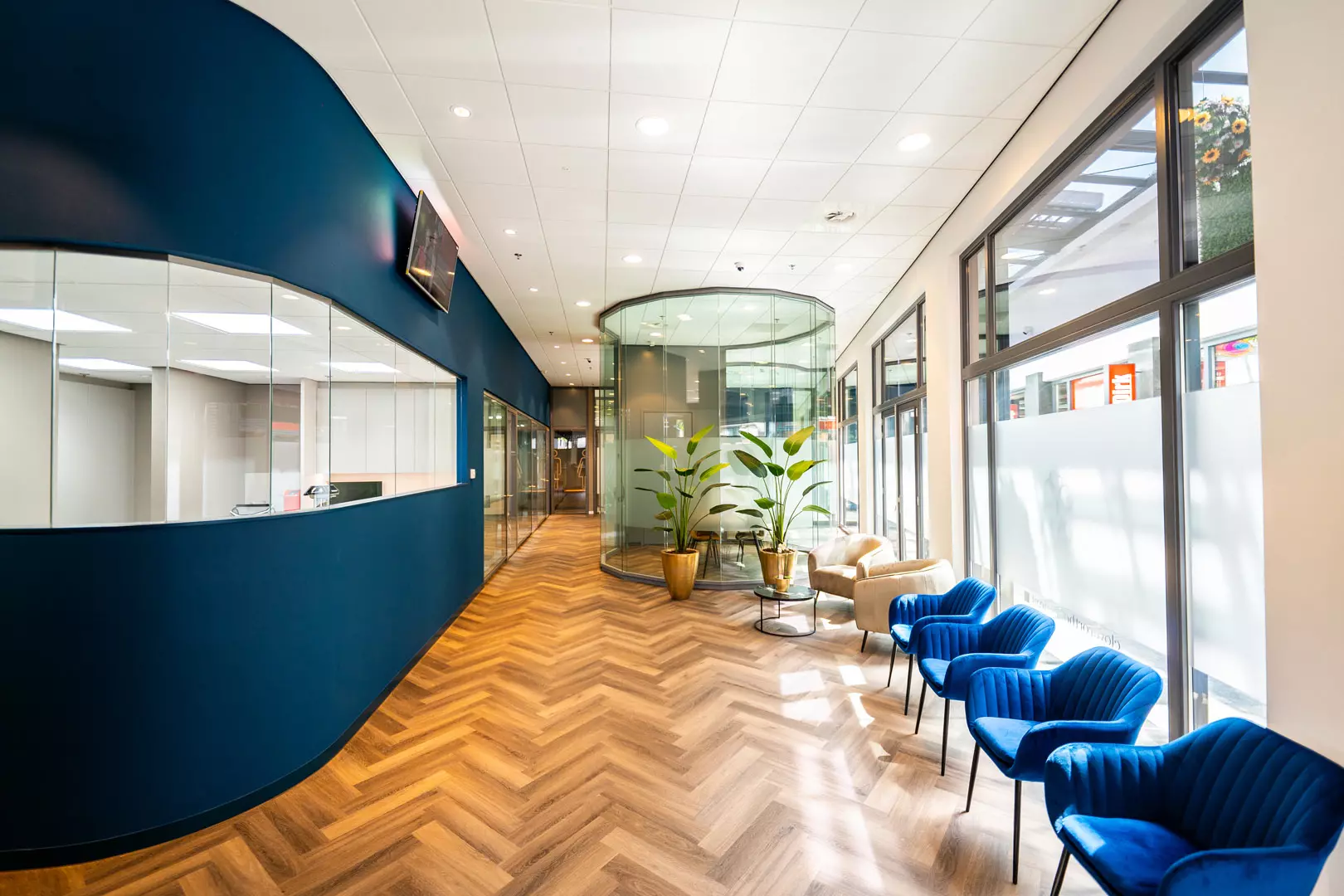Clover Orthodontie Pijnacker Nootdorp